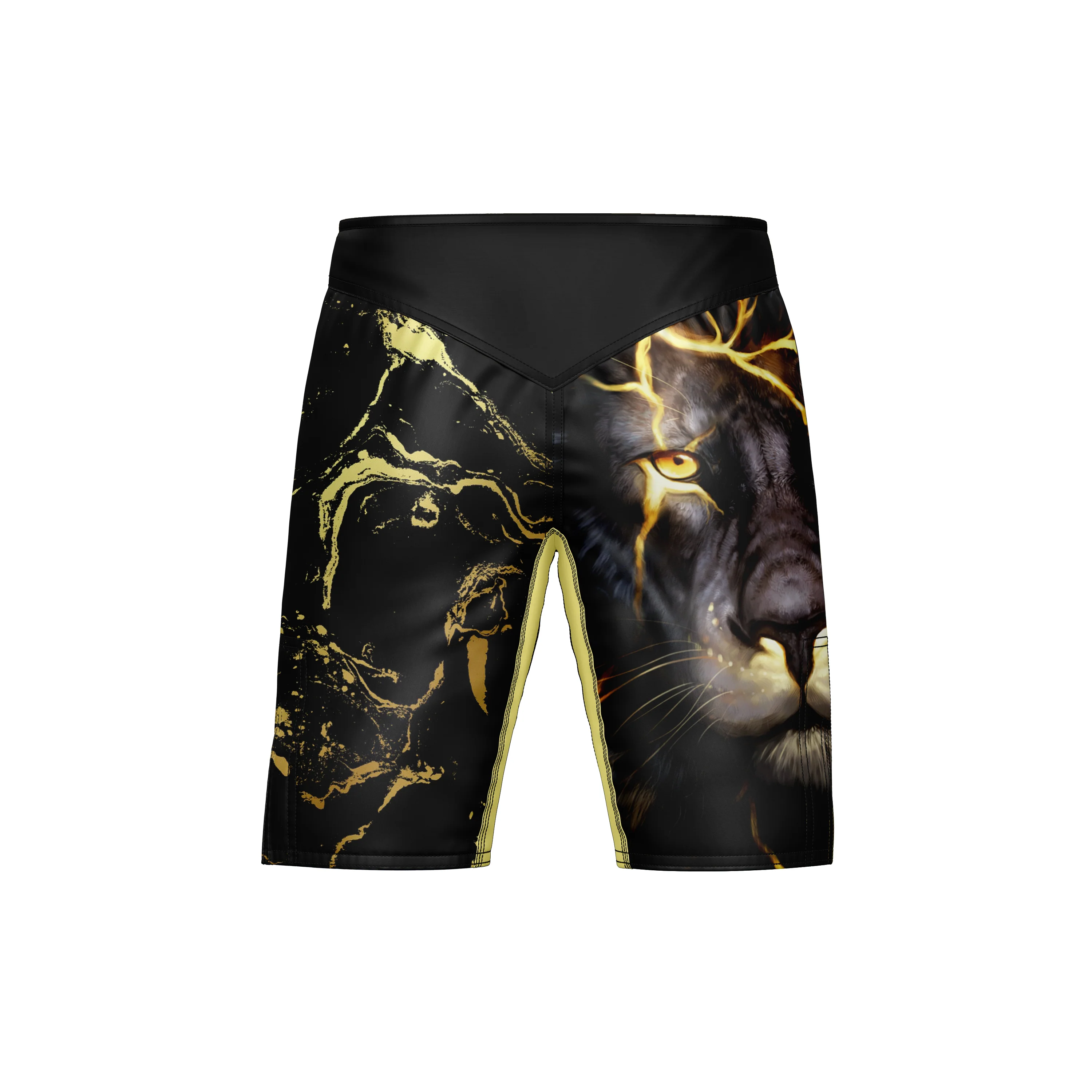 Flashyking MMA Shorts - Image 3