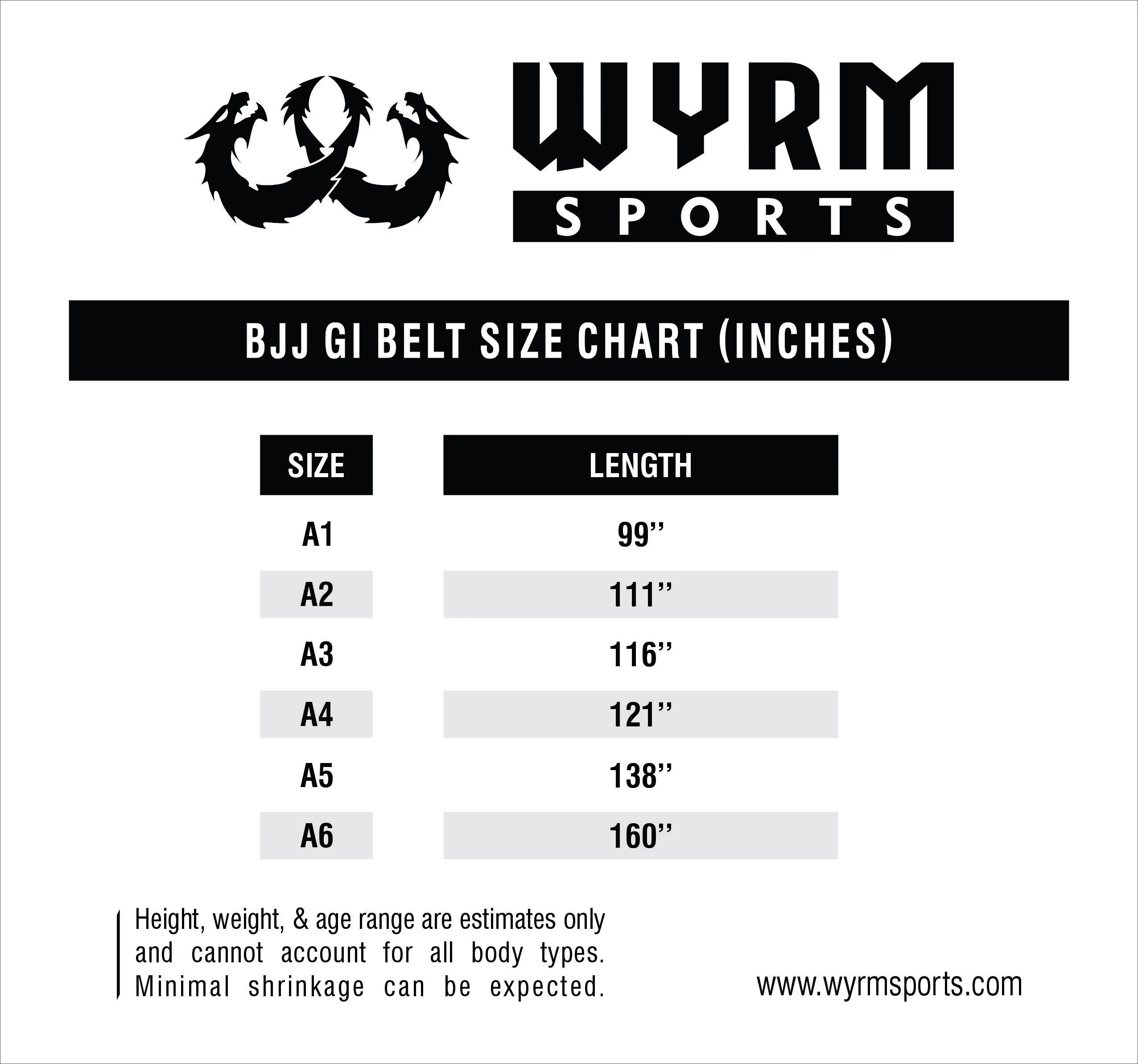 WYRM Premium Custom Name Brazilian Jiu Jitsu BJJ Belt - Image 7